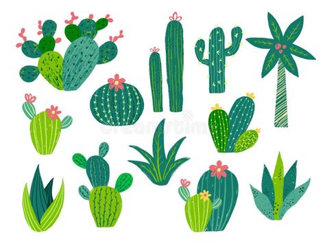 Cactus Cacti Vector Set Mexican Flower Plant Stock Vector