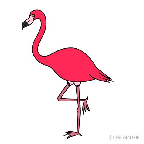 Dancing Flamingo Clipart 10 Free Cliparts Download