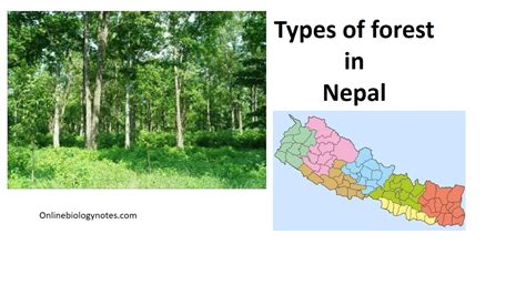 Types Of Forest In Nepal Online Biology Notes