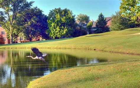 Meadowbrook Country Club Best Golf Courses In St Louis