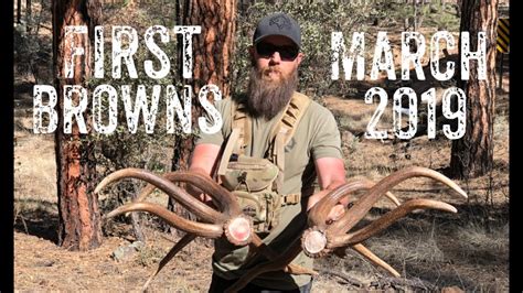 Shed Hunting First Brown Elk Sheds Of 2019 Youtube