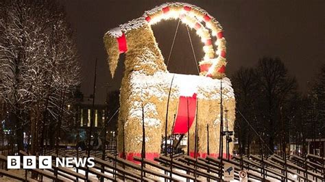 Swedens Giant Gavle Goat Survives Christmas Bbc News