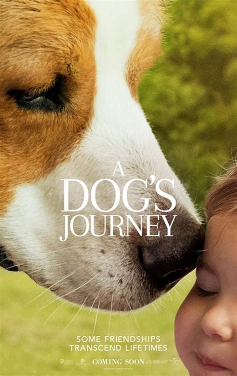 A dog finds the meaning of his own existence through the lives of the humans he meets. A Dog's Journey Movie (2019)