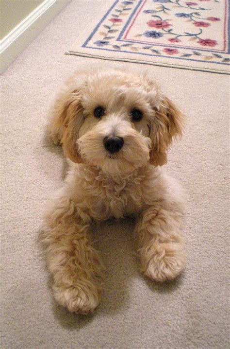 Maybe you would like to learn more about one of these? Image from http://media.nj.com/photogallery/photo/2010/06 ...