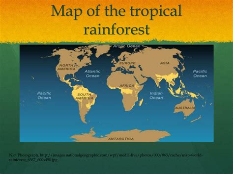 Map Showing Location Of Tropical Rainforests Tropical Rainforest
