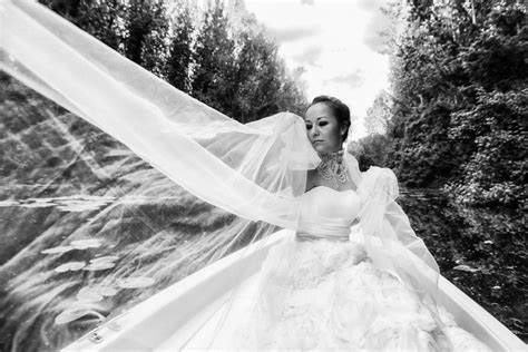 Free Picture Wedding Dress Veil Pretty Girl Gorgeous Nature Wind