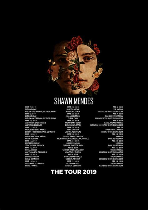 Print Art Shawn Mendes The Tour Date 2019 Gkstore01 Digital Art By
