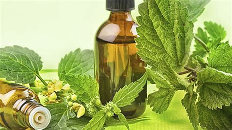 Herbal Medicine What Are Herbalists Herbal Medications And Herbal
