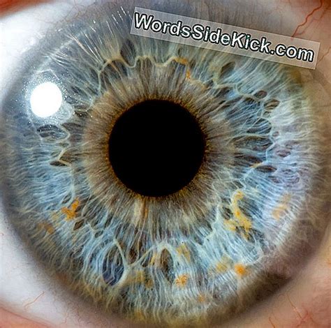 Wie Weit Kann Das Menschliche Auge Sehen? - 2023 | Gesundheit