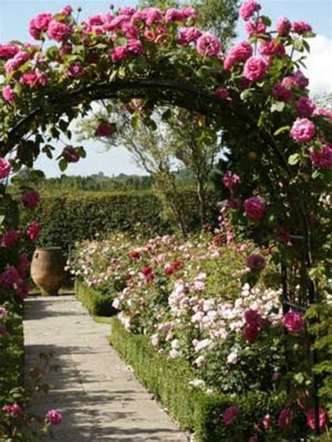 20 Rose Garden Wallpaper Ideas You Gonna Love Sharonsable
