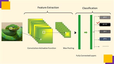 The Architecture Of Our Convolutional Neural Network Download Vrogue