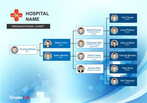 Hospital Organizational Structure Chart
