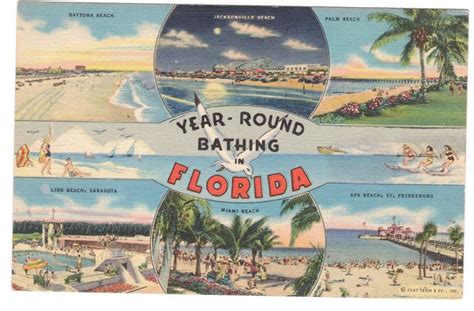 Florida Vintage Postcard Unused In 2020 Vintage Florida Postcard