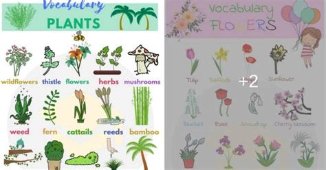 Plant And Flower Vocabulary In English Eslbuzz Learning English