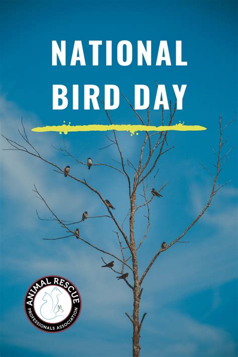 National Bird Day National Bird Species National Calendar