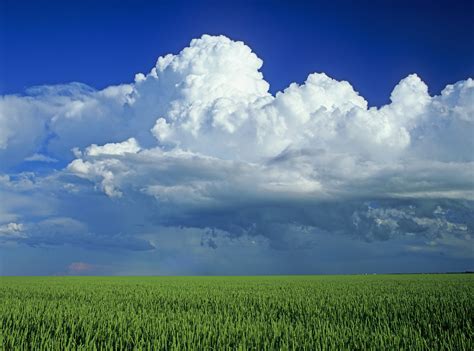 Learn the Types of Clouds and How to Identify Them - Southern Living