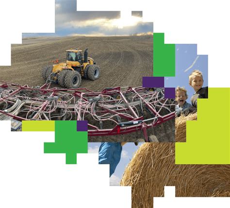 See The Bigger Picture Farm Software Decisive Farming By Telus