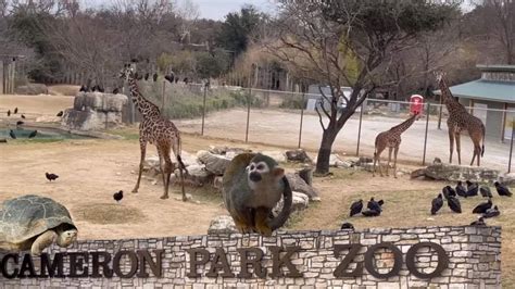 Cameron Park Zoo Waco Texas Youtube