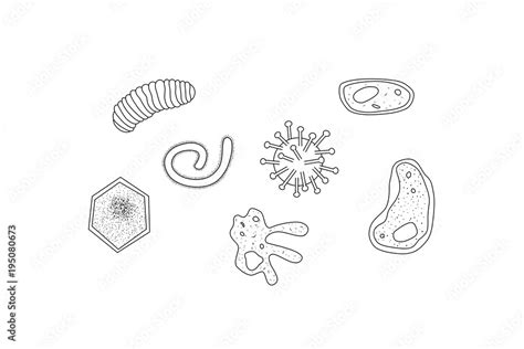 Microbes Collection Drawing Of Microscopic Organisms Vector