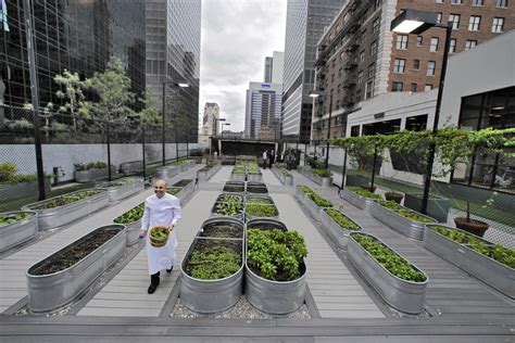 Urban Agriculture 101 All About Urban Farming In Us Cities