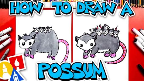 How To Draw A Possum Opossum Youtube