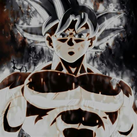 غوكو الغريزة الفائقة المكتملة Anime Dragon Ball Goku Anime Dragon