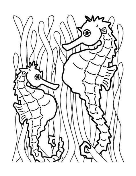 Children will love the discoveries they find underneath. Mister Seahorse Coloring Page | Seahorse | Pinterest ...