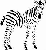 Zebra Coloring Stripes Without Outline Animals sketch template