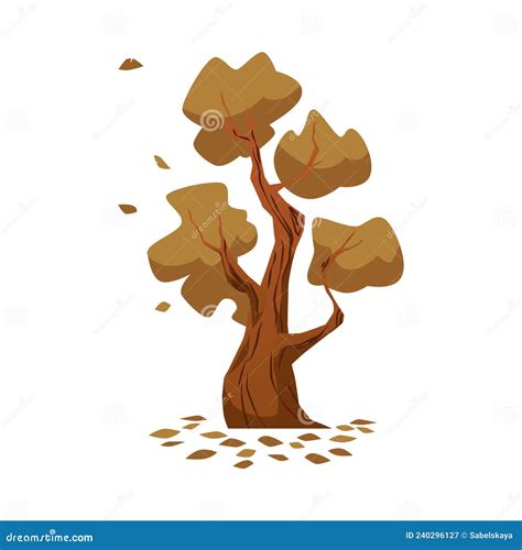 Oak Tree With Brown Leaf At Fall Season Isolated On White Background