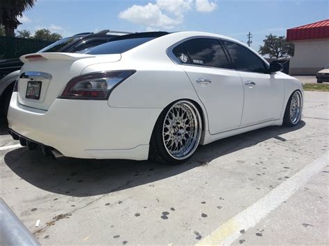 Nissan Maxima Lowered Amazing Photo Gallery Some Information And