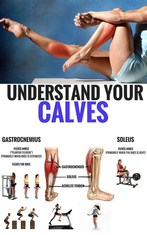 Create Strong And Shapely Calves With These Do Anywhere Exercises GymGuider Com Calf Muscle