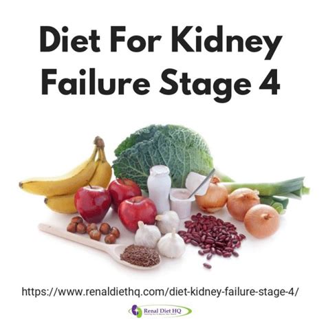 Renal Diet Recipes Brochure For Those On The Renal Diet Scale 1x 2x