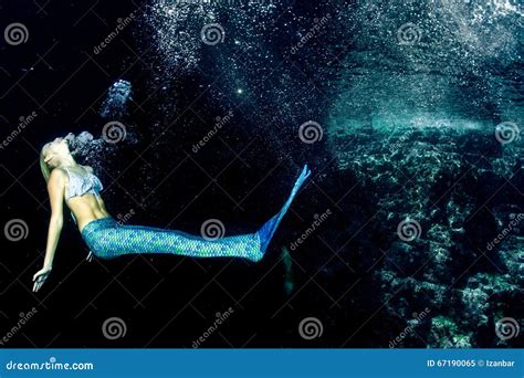 Blonde Beautiful Mermaid And Sea Lion Stock Image Image Of Diving
