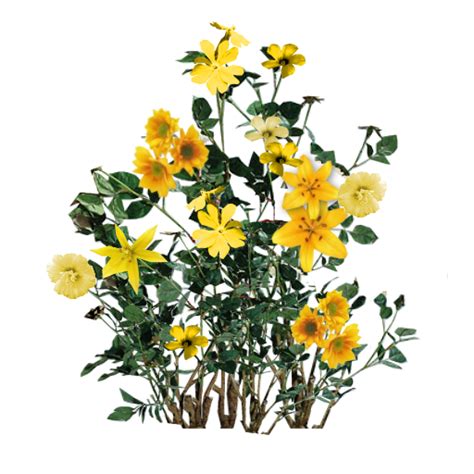 Yellow Flowers Plant Texture Photoshop Trees Png Plants
