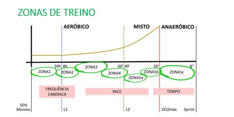 Zonas Alvo De Treinamento