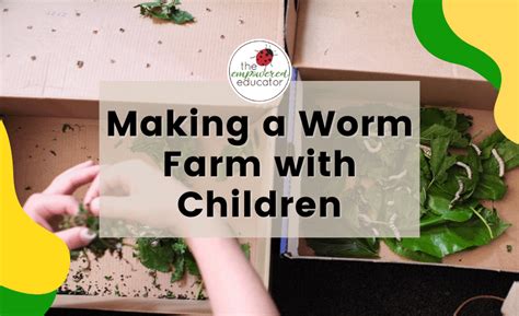 Making A Worm Farm With Children Eco Fun And Early Learning
