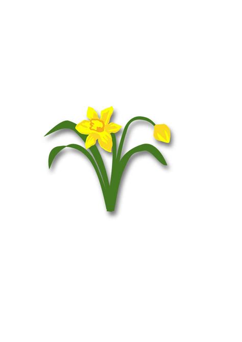 Layered Daffodil SVG Floral Spring Digital Cutting File - Etsy