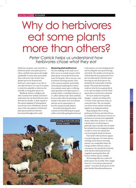 Pdf Why Do Herbivores Eat Some Plants More Than Others