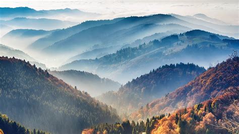 Discover The Mountains And Valleys Of The Fabulous Black Forest In