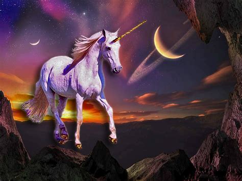 Unicorn Pegasus Wallpaper Wallpapersafari