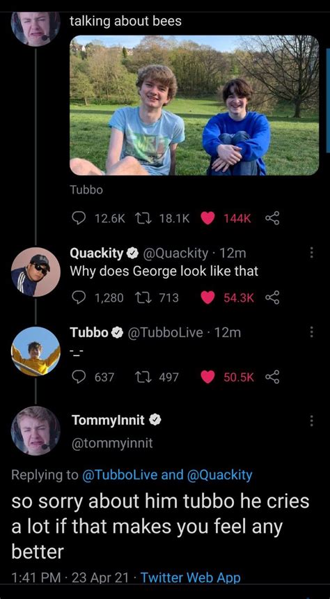 Tommy In 2021 Dream Smp Memes Dream Smp Funny Dream Smp