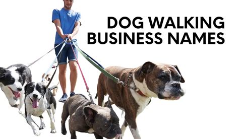 Dog Walking Business Names 250 Creative And Catchy Ideas