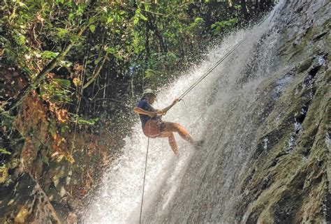 Dikenali dengan air sejuk, sejuk yang mengalir dari bukit kledang, air terjun ulu chepor adalah tempat yang sangat popular bagi mereka yang mencari tempat untuk menyejukkan diri pada hari yang panas. Panorama hutan hijau | Harian Metro