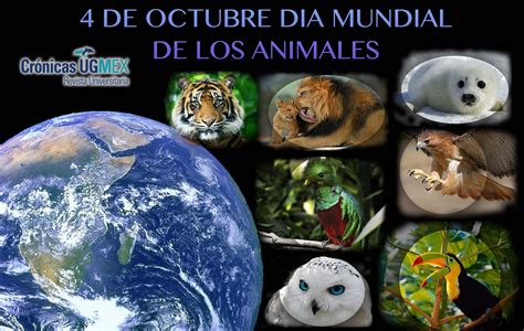 4 De Octubre Día Mundial De Los Animales