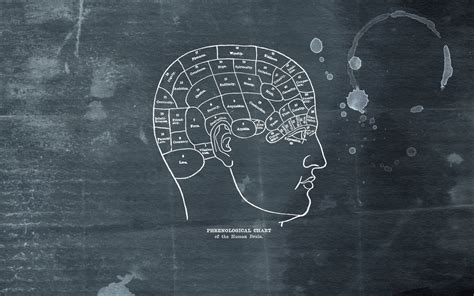 Brain Wallpaper Hd 67 Images