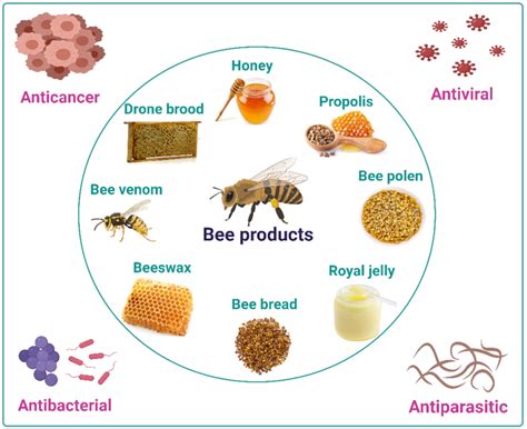 Antibiotics Free Full Text Pharmaceutical Prospects Of Bee Products