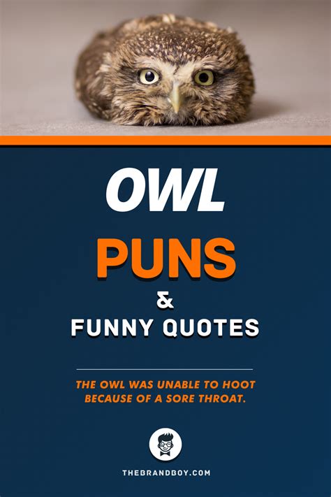 75 Best Owl Puns Owl Pun Funny Owl Quotes Owl