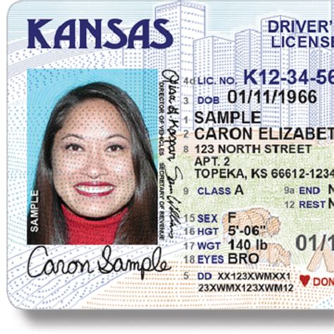 Motorcycle Driver License In Illinois