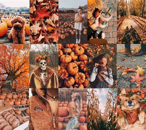 Autumn Fall Vibes Spooky Season Orange Set Of 105 Photos Etsy