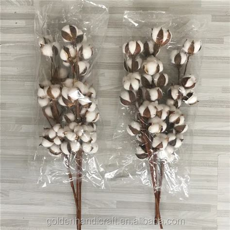 Dried Cotton Stems Natural Flowers Wholesale Indoor Decoration Buy